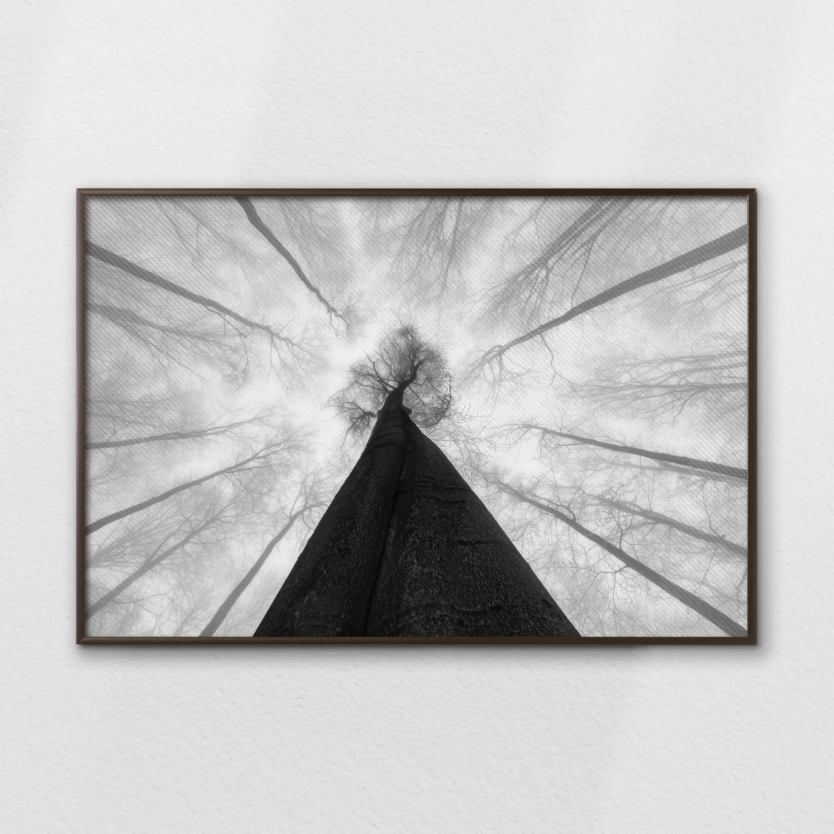 LWN120W080