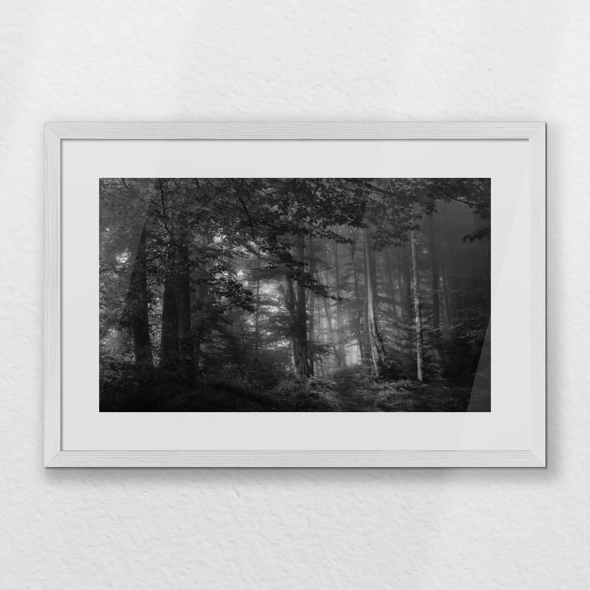 PWP060W040