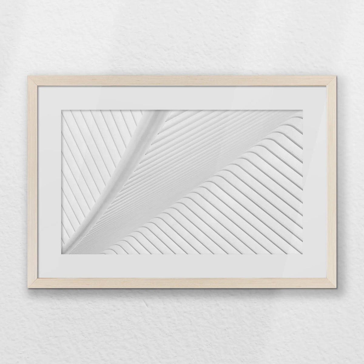PNP060W040