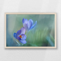 PN-060W040