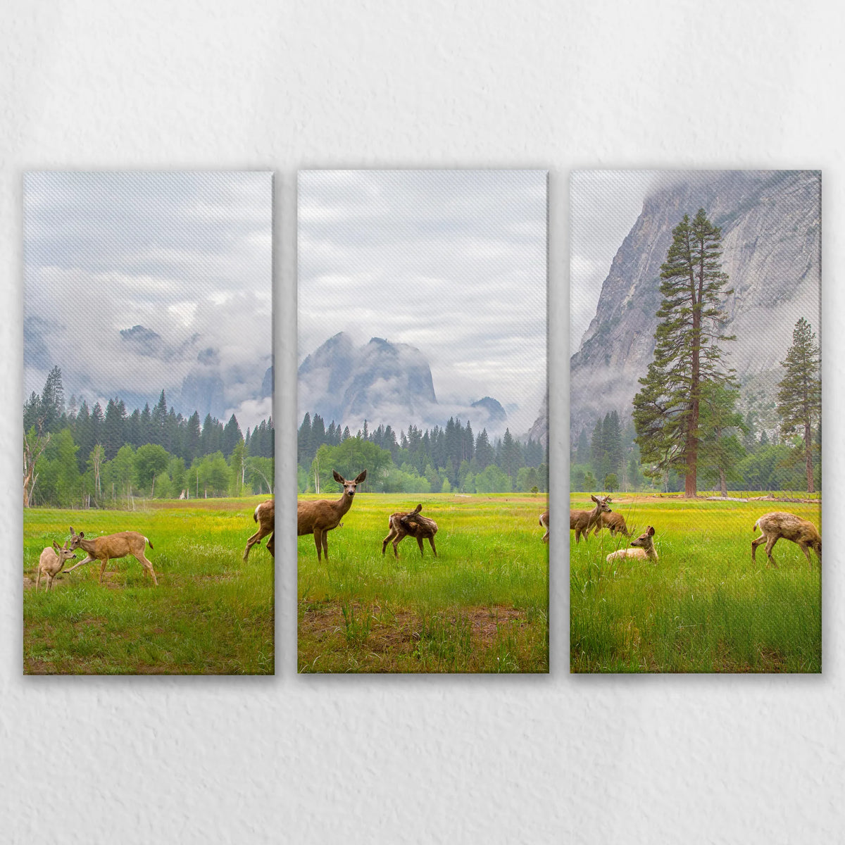 LW-120R080
