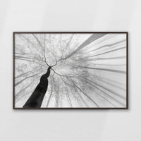 LWN120W080