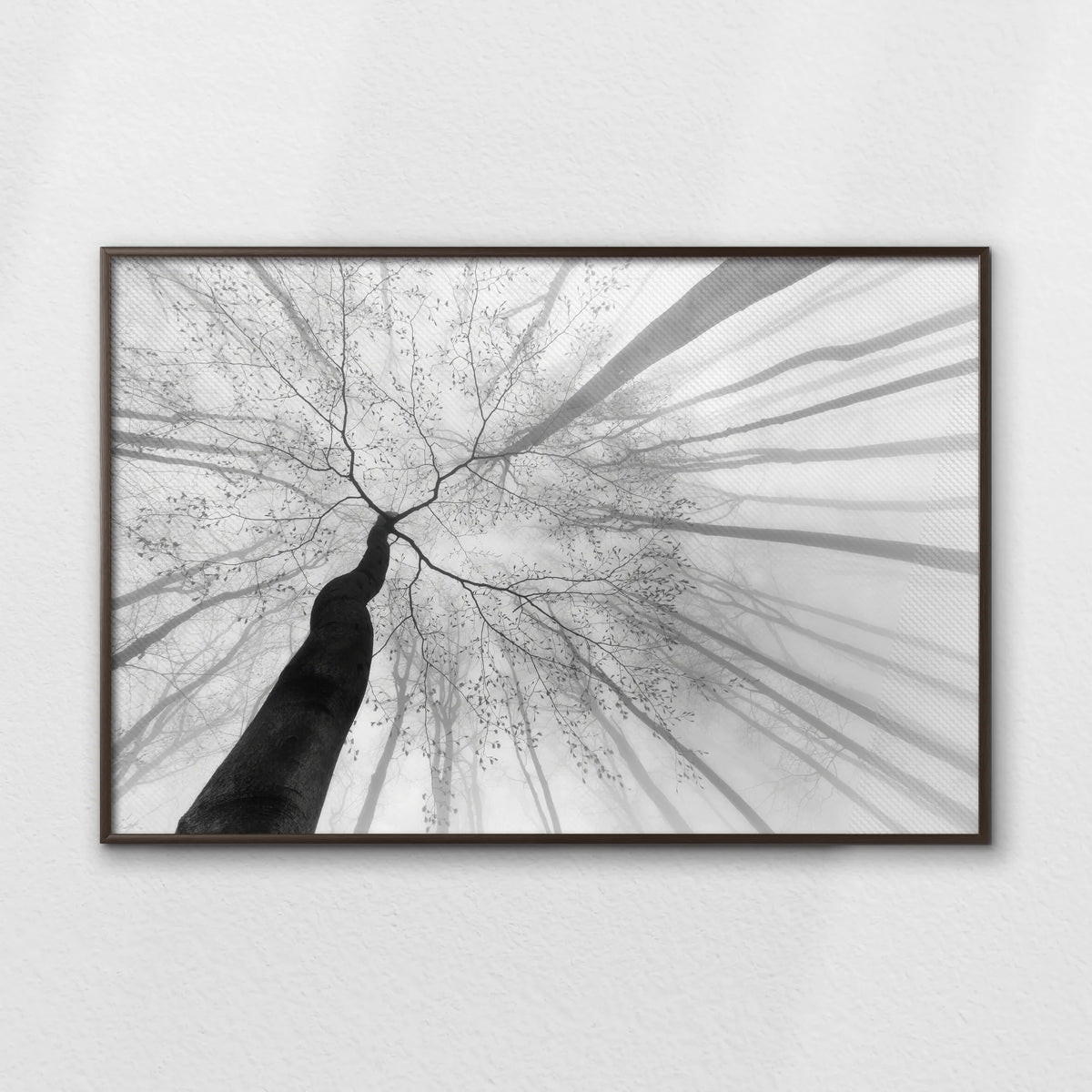 LWN120W080
