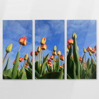 AL-150R100