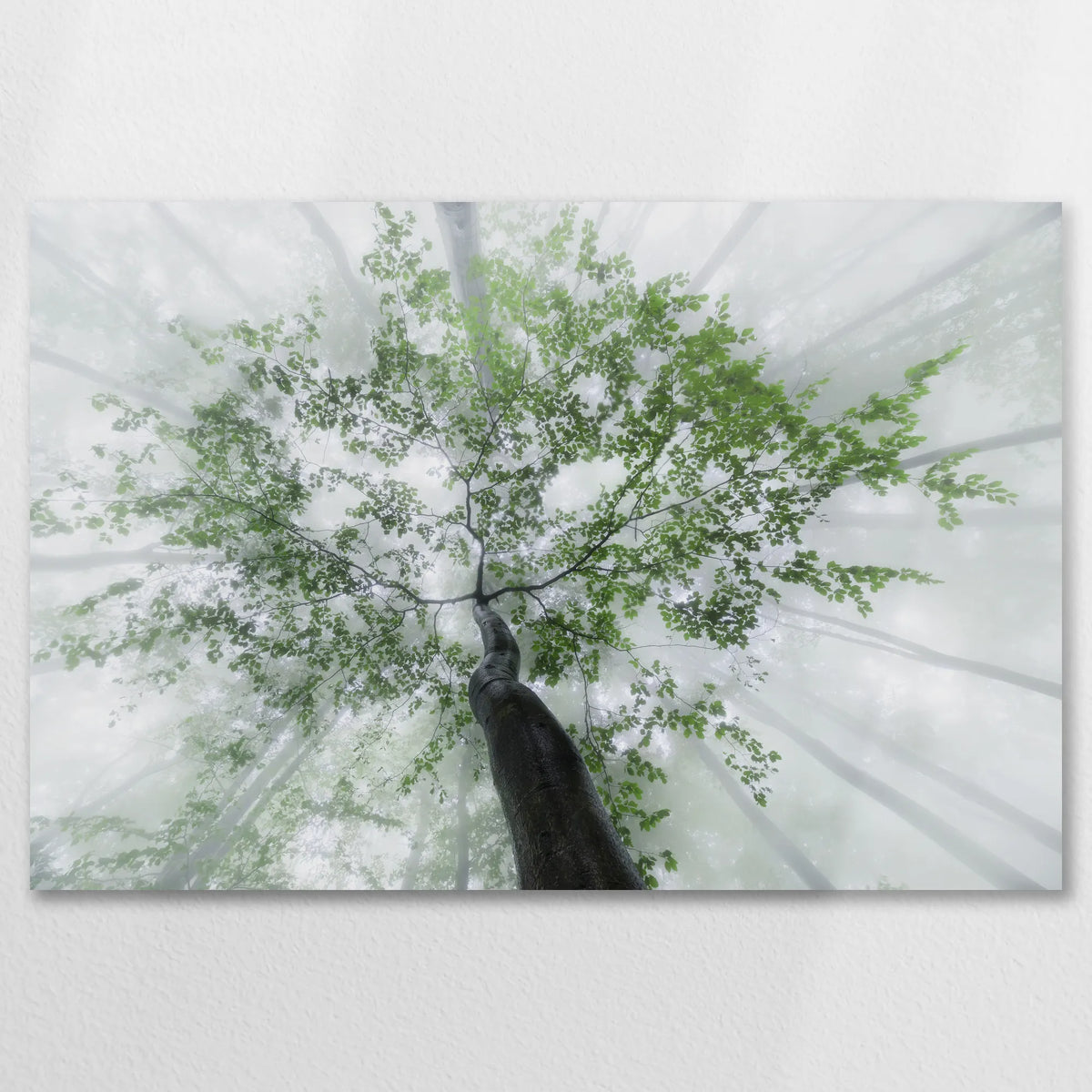 AL-090W060