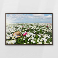 LWN120W080