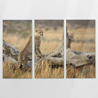 AL-210R140