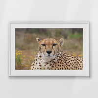 PWP100W070