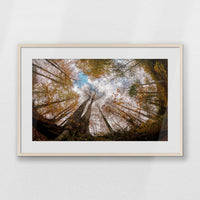 PNP093W062
