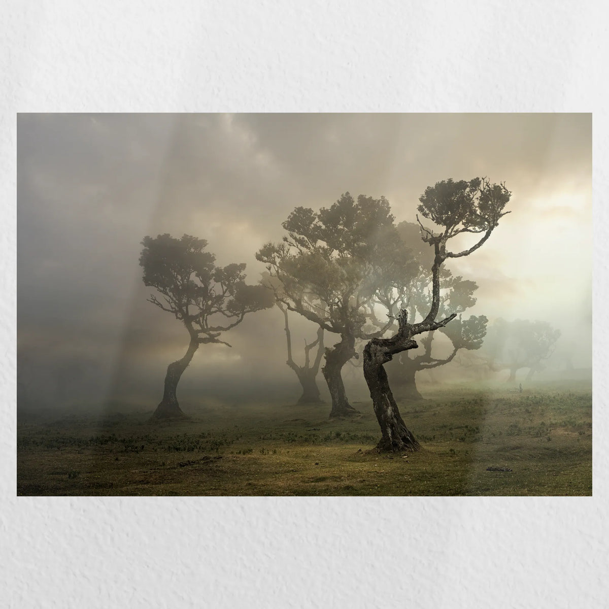 PO-060W040