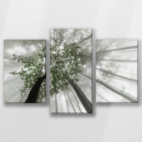 LW-060T040