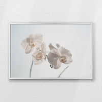 PS-060W040