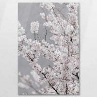 AC-060W090