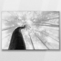LW-060W040