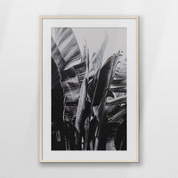 PNP070W100
