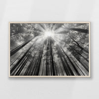 PN-093W062