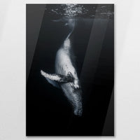 AC-060W090