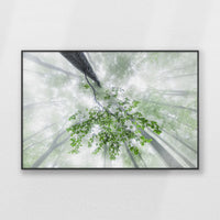 PB-100W070