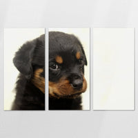 AL-180R120