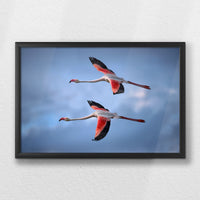 LWB060W040