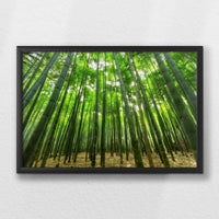 LWB060W040