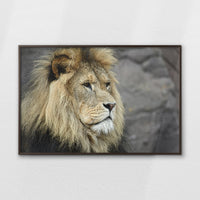 LWN120W080