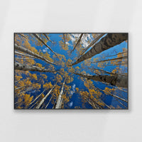 PB-120W080