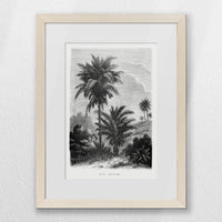 PNP030W040