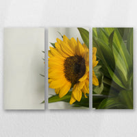AL-060R040