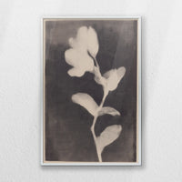 PS-040W060