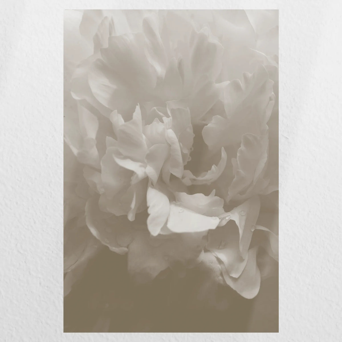 PO-030W045