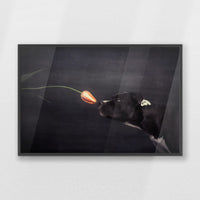 PK-100W070