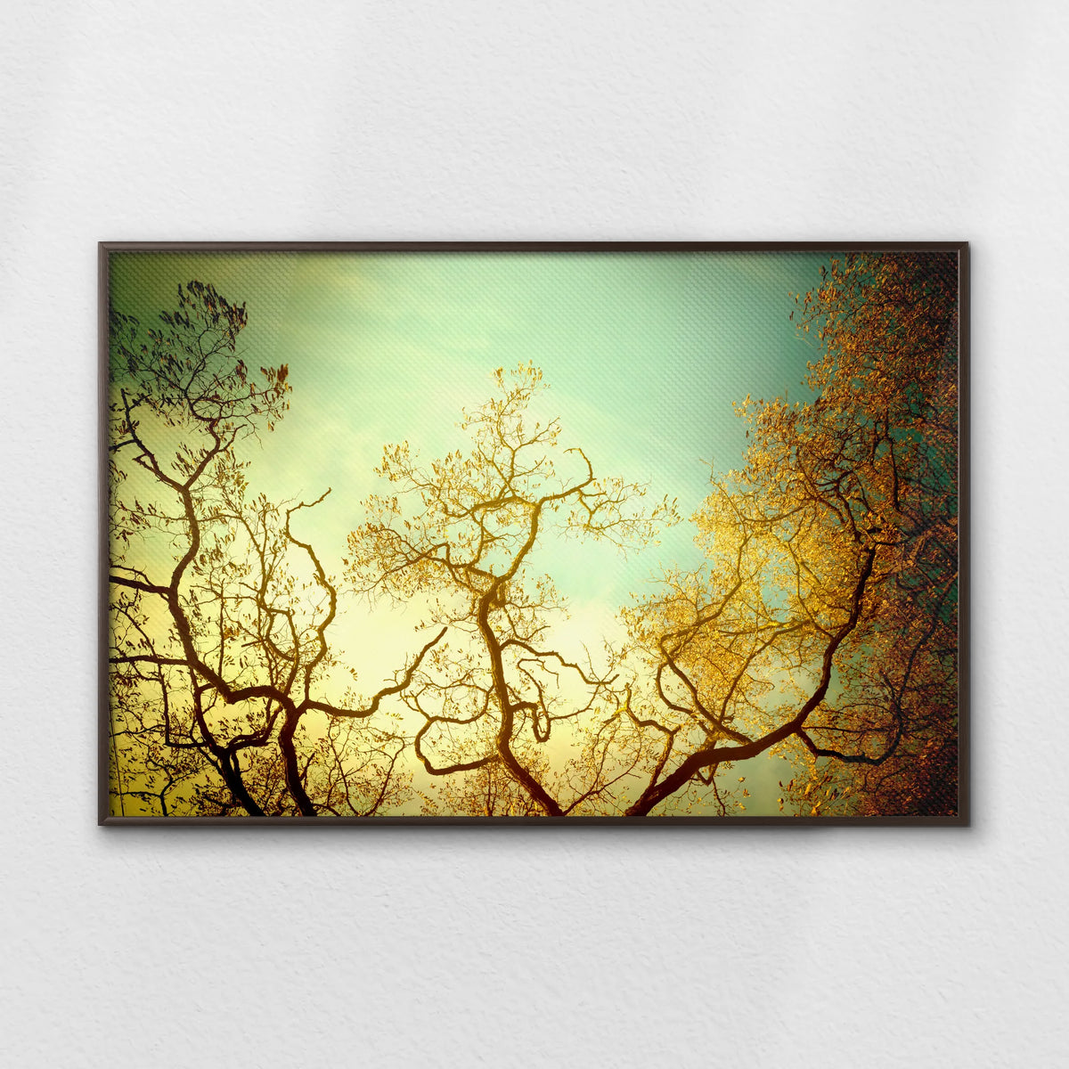 LWN120W080
