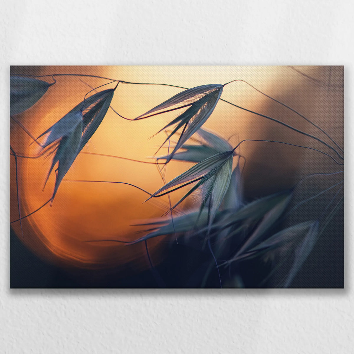 LW-075W050