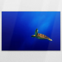 LW-120W080
