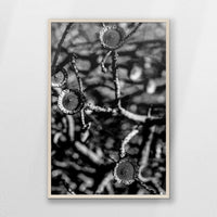 PN-062W093