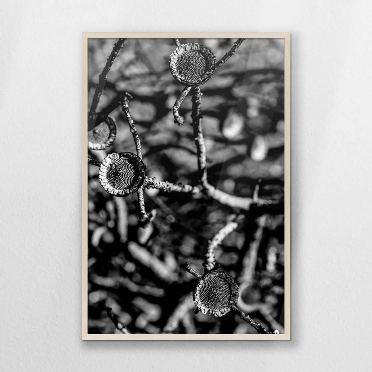 PN-062W093