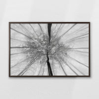 LWN100W070