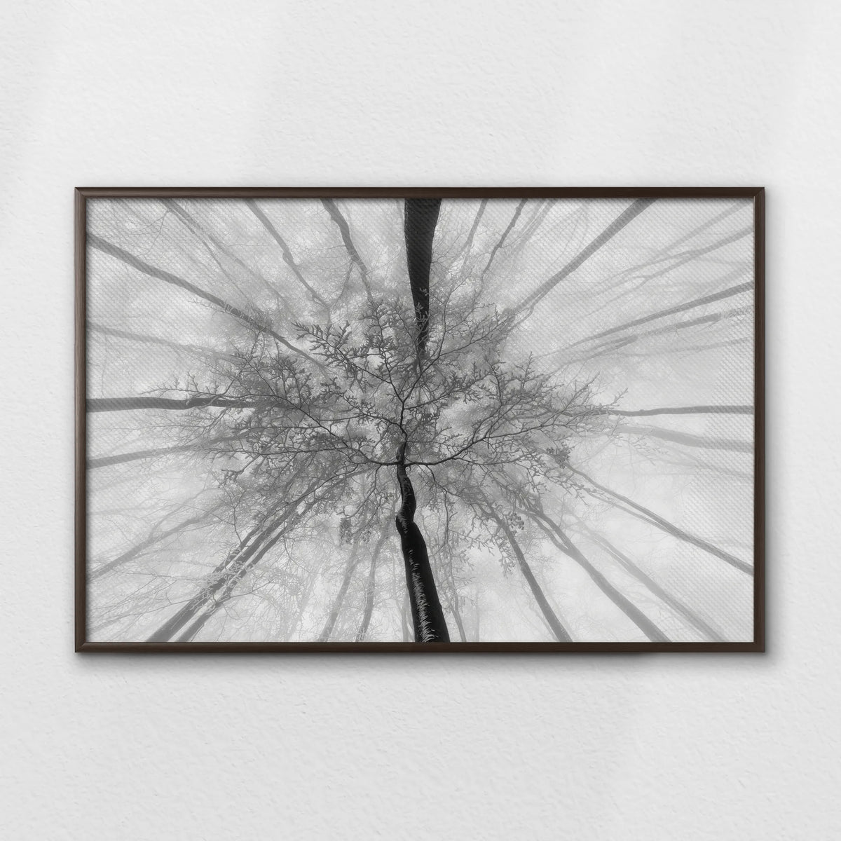 LWN100W070