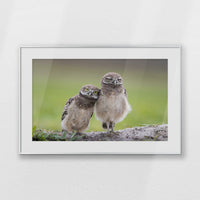 PSP093W062