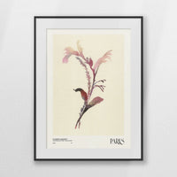 PBP050W070
