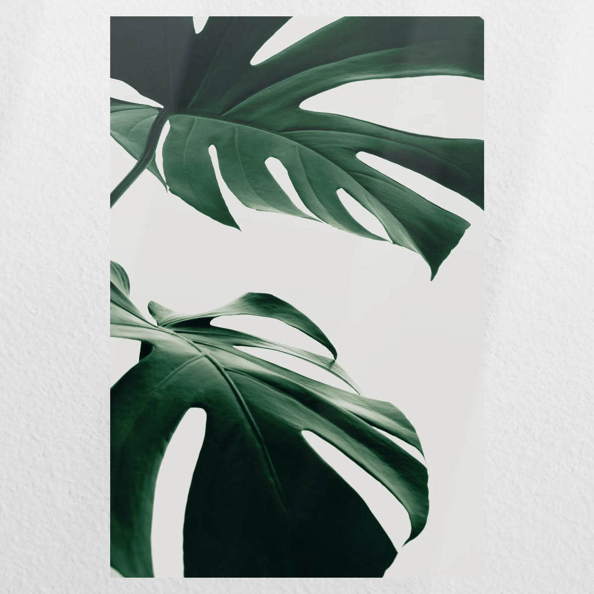 PO-030W045
