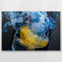 AL-060W040