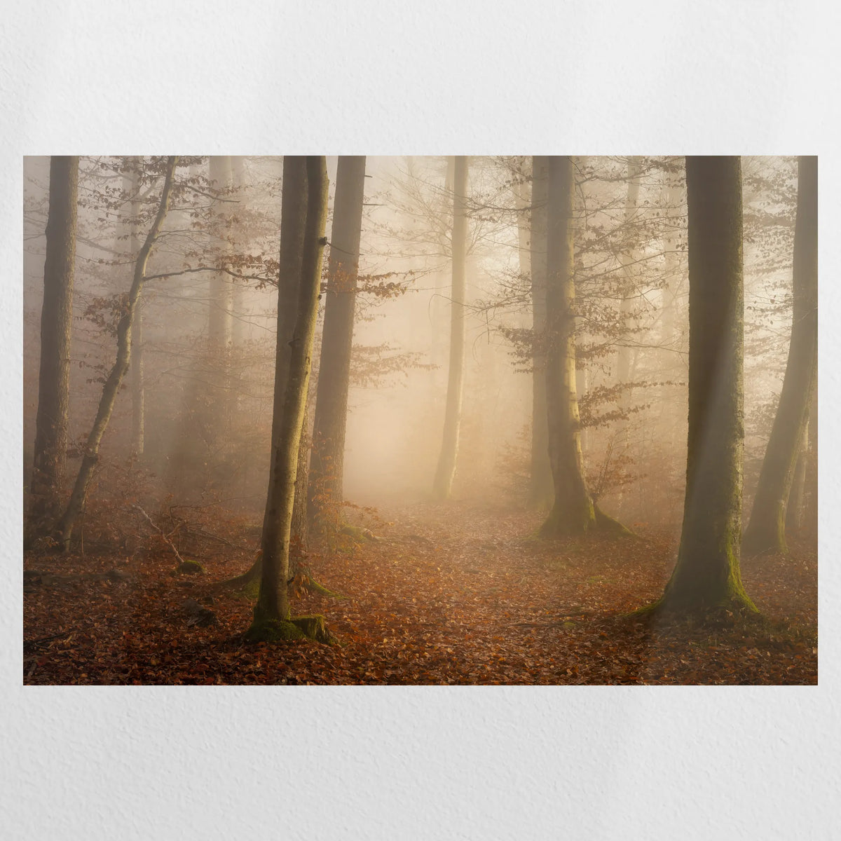 PO-120W080