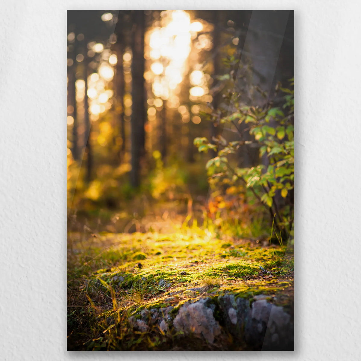 AC-020W030