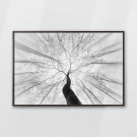 LWN120W080