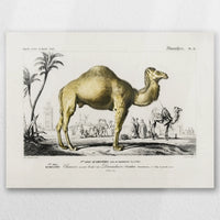 AL-040W030