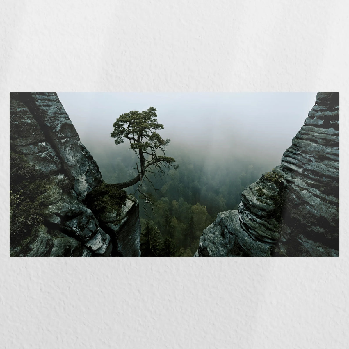 PO-040W020