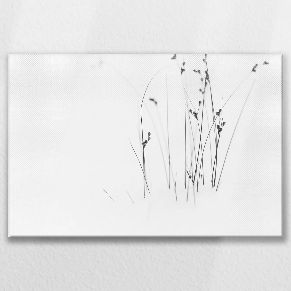 LW-075W050