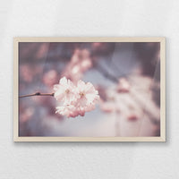 PN-060W040